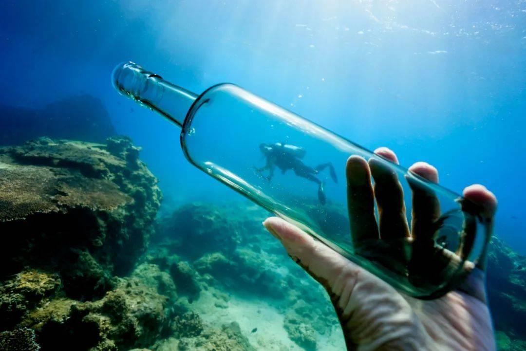 奥莉的夏威夷之旅